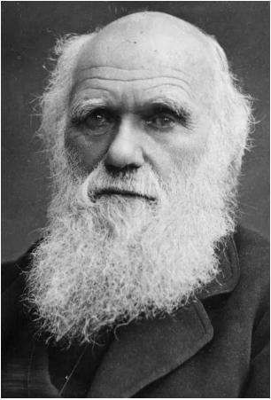 Darwin Charles (1809-1882)